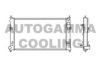 AUTOGAMMA 105435 Radiator, engine cooling